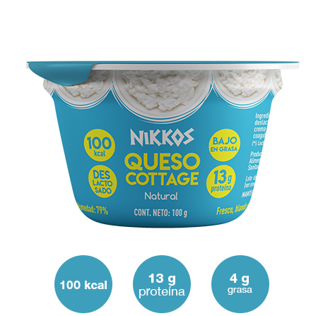Queso-cottage-natural-100