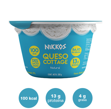 Queso-cottage-natural-200